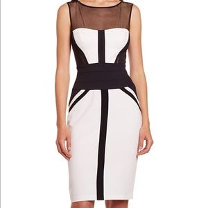 BCBG Dress